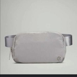 Seal grey everywhere belt bag